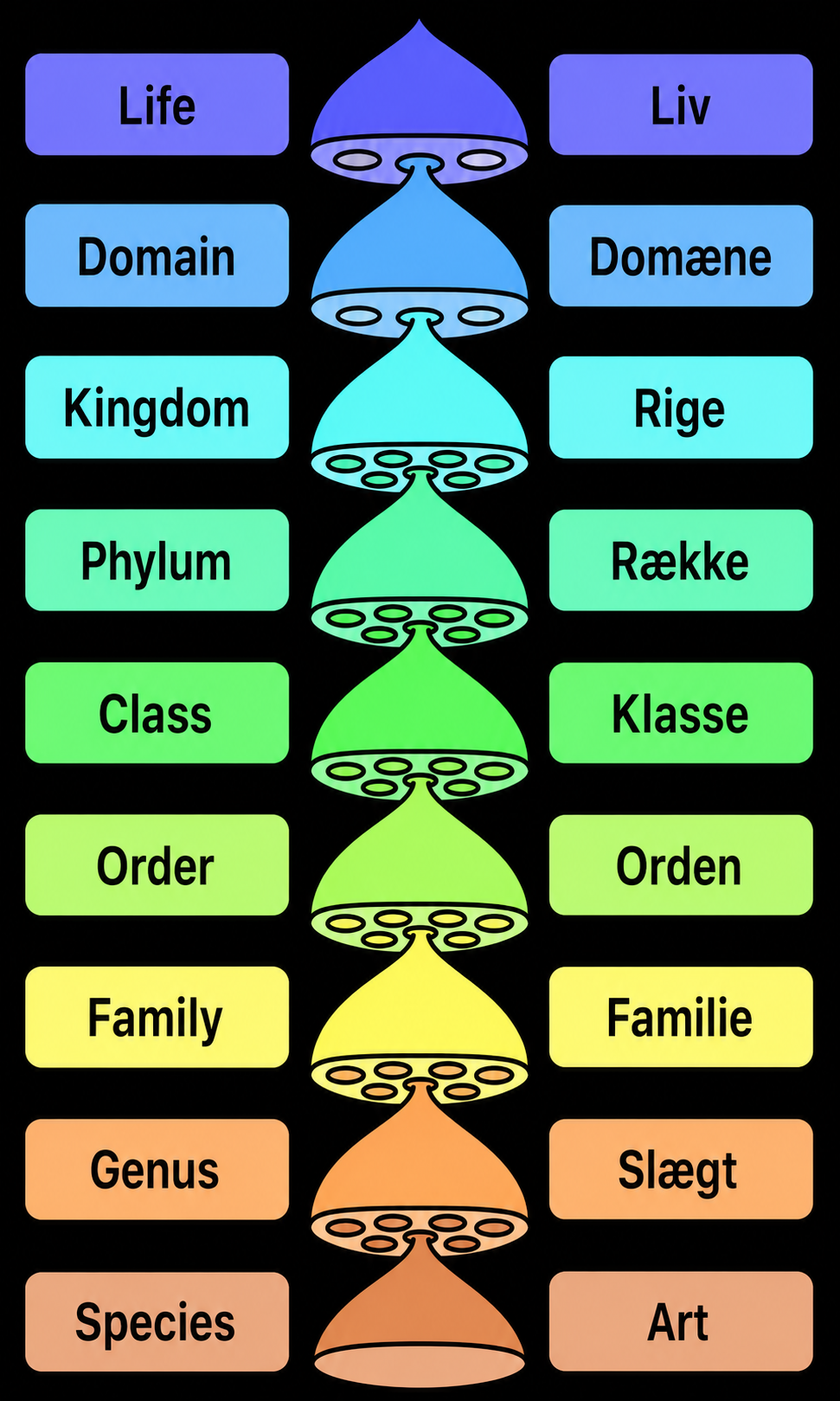 Biologisk klassifikation